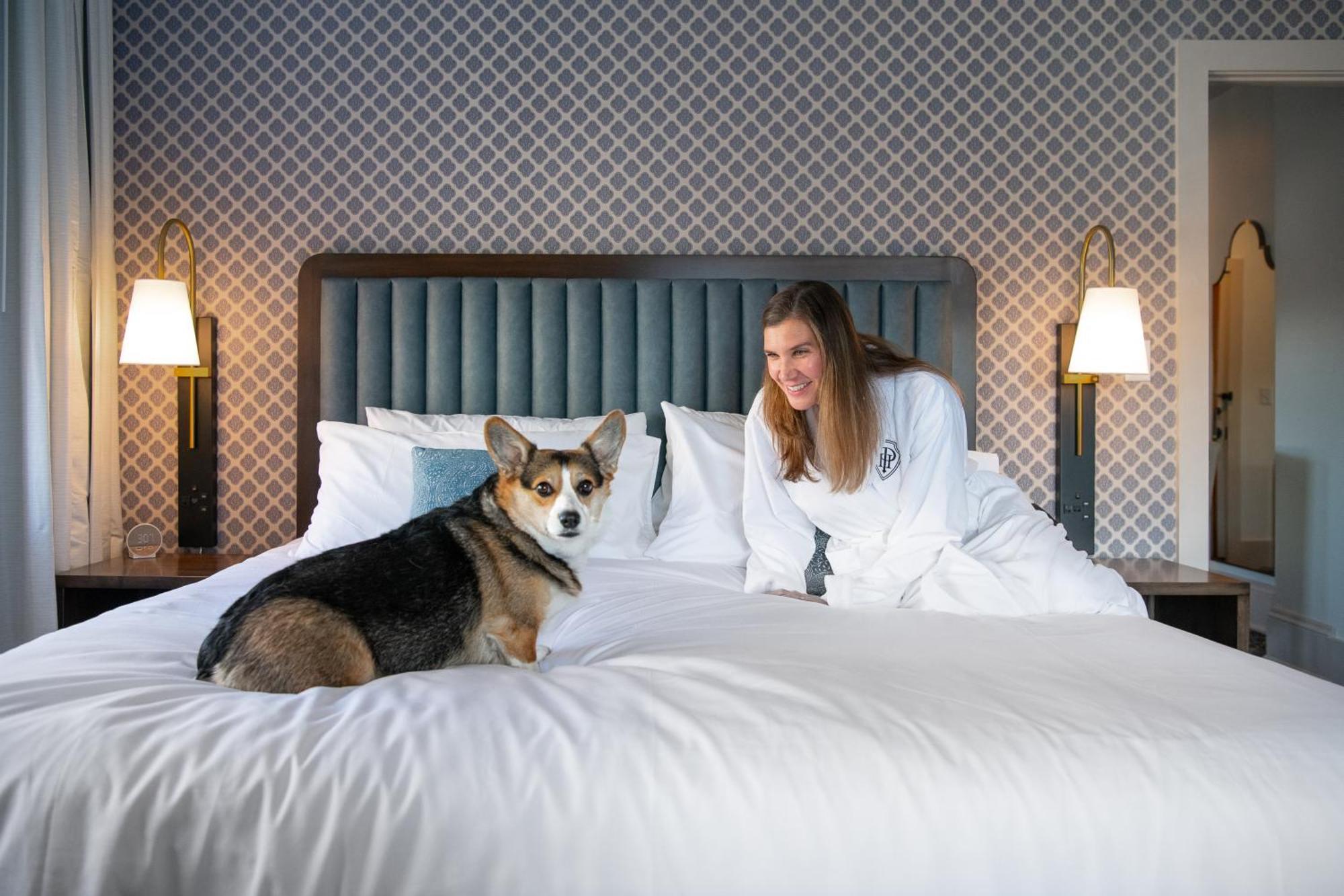 Hotel Petersburg, Tapestry Collection By Hilton 外观 照片